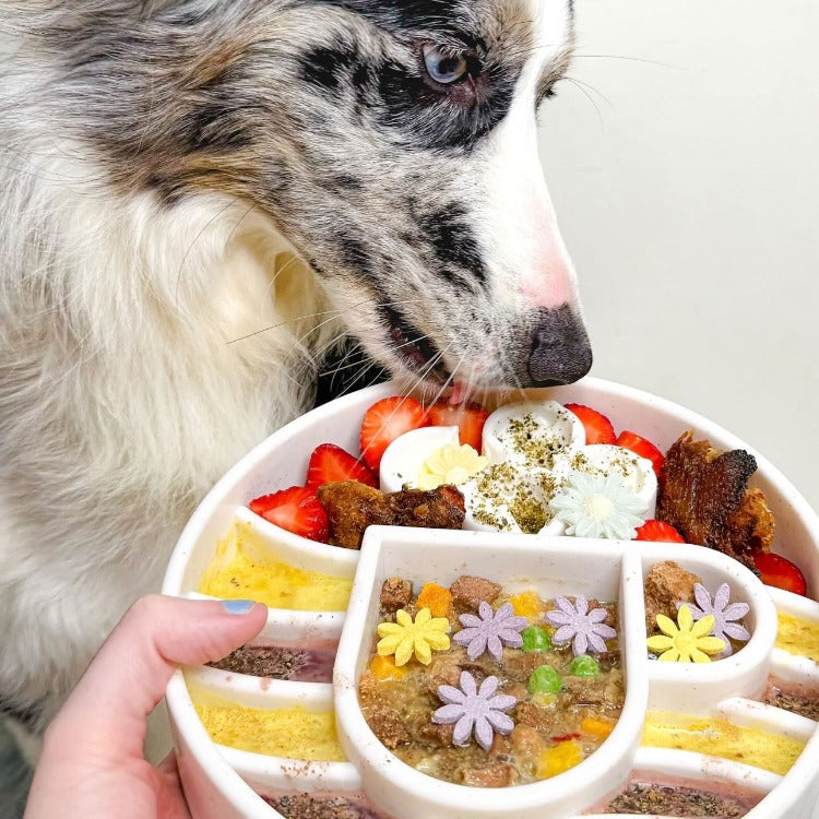Java eBowl Deep Slow Feeder Dog Bowl for Enrichment | USA Made EBOWL SodaPup/True Dogs, LLC