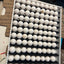 Georgia Giant Quail Hatching Eggs Quail Eggs Buddys Hatchery