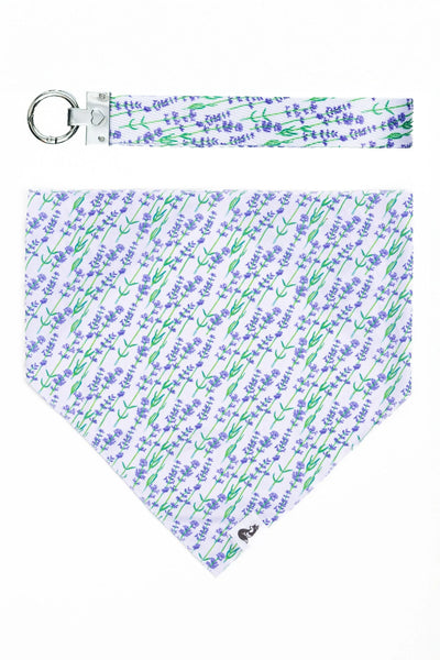 Lavender Blooms Dog Bandana & Matching Keychain XL bandana Aria the Fox