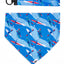 K9 Kayak Dog Bandana & Matching Keychain XL bandana Aria the Fox