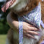 Lavender Blooms Dog Bandana & Matching Keychain bandana Aria the Fox