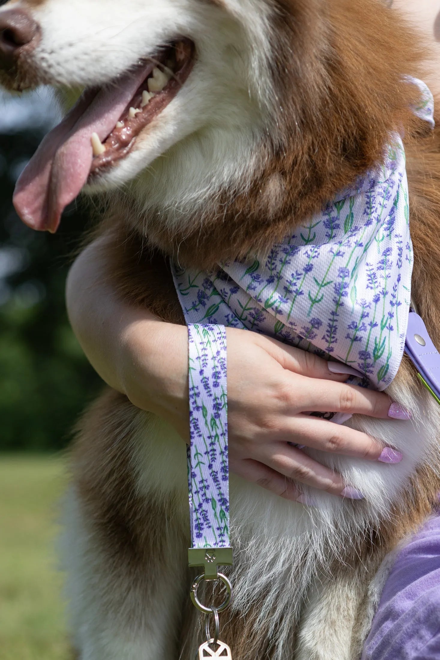 Lavender Blooms Dog Bandana & Matching Keychain bandana Aria the Fox