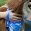 K9 Kayak Dog Bandana & Matching Keychain bandana Aria the Fox