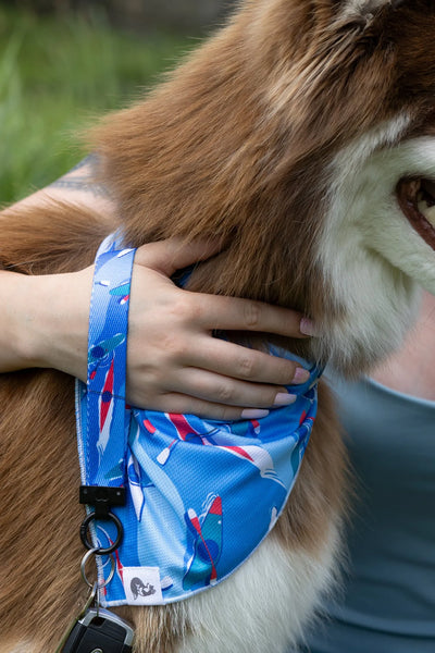 K9 Kayak Dog Bandana & Matching Keychain bandana Aria the Fox