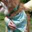 Seaside Sips Dog Bandana & Matching Keychain bandana Aria the Fox