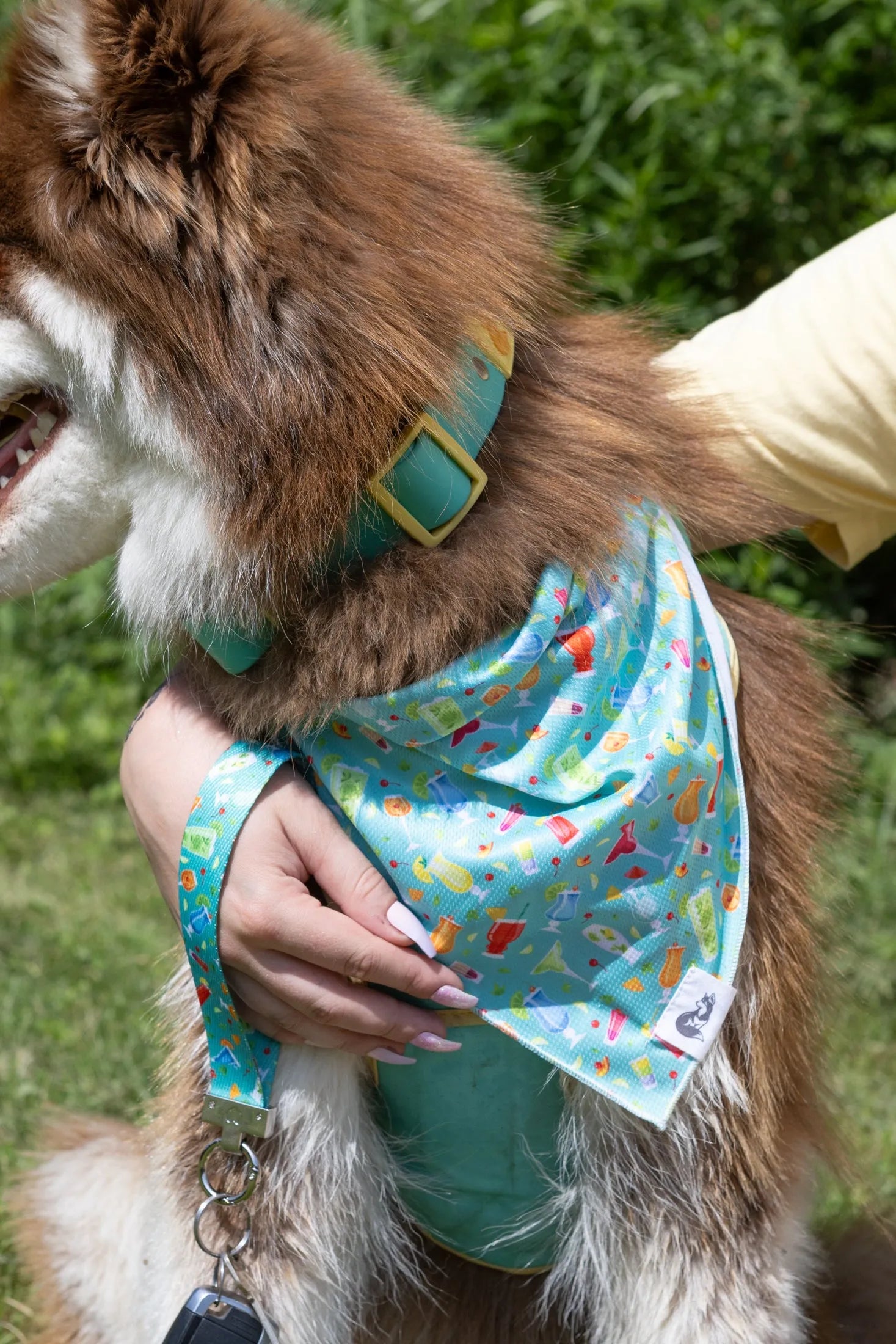 Seaside Sips Dog Bandana & Matching Keychain bandana Aria the Fox
