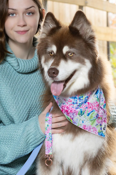 Hydrangea Haven Dog Bandana & Matching Keychain bandana Aria the Fox