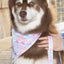 Pink and Blue Tribal Dog Bandana & Matching Keychain bandana Aria the Fox