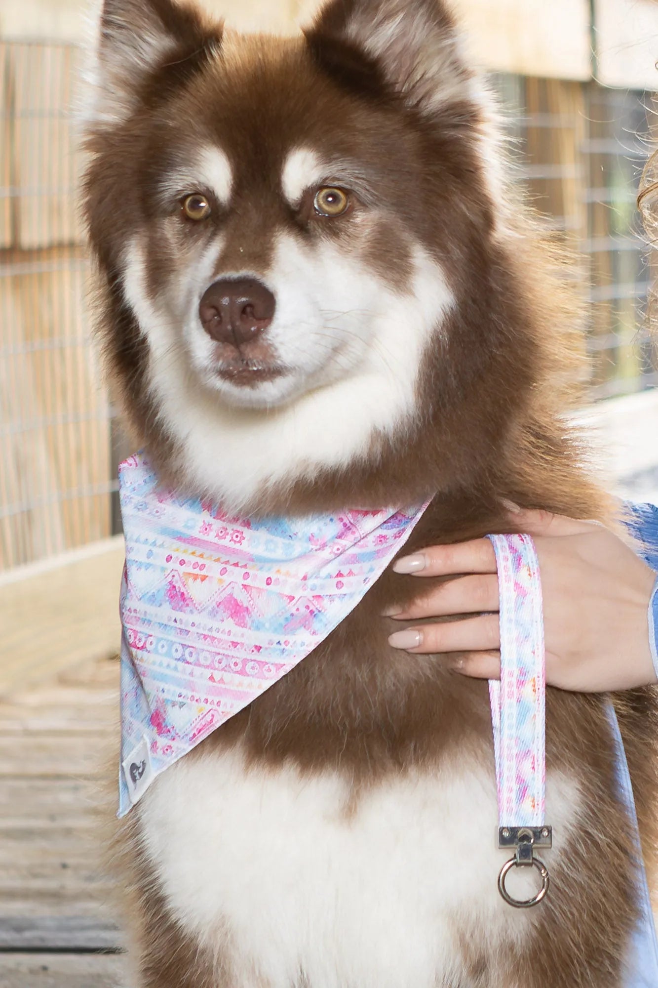 Pink and Blue Tribal Dog Bandana & Matching Keychain bandana Aria the Fox