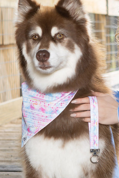 Pink and Blue Tribal Dog Bandana & Matching Keychain bandana Aria the Fox