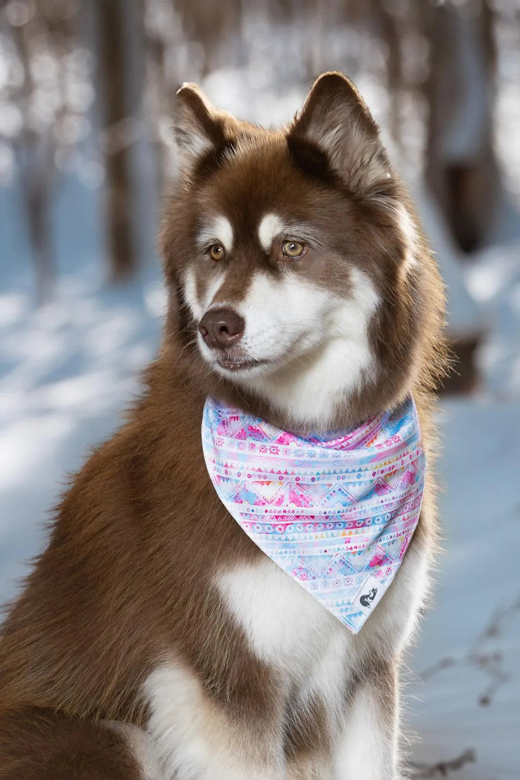 Pink and Blue Tribal Dog Bandana & Matching Keychain bandana Aria the Fox