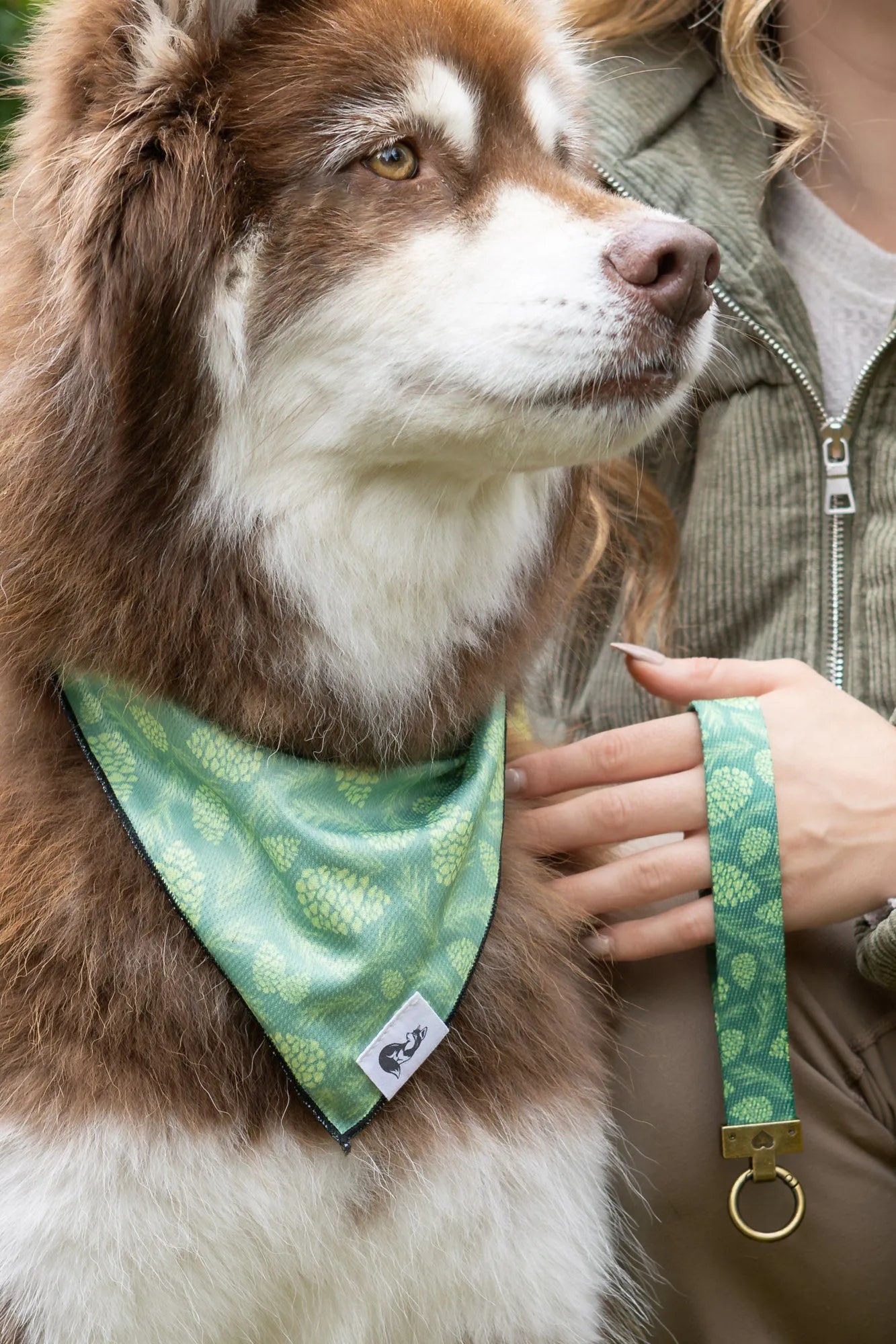 Pine Cone Pup Bandana & Matching Keychain XL bandana Aria the Fox