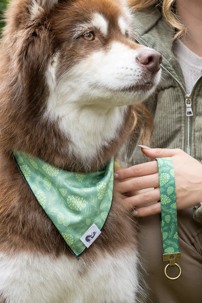 Pine Cone Pup Bandana & Matching Keychain XL bandana Aria the Fox
