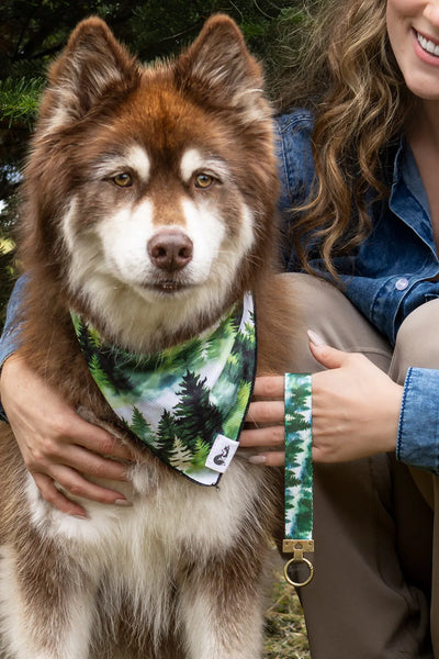 Evergreen Explorer Dog Bandana & Matching Keychain bandana Aria the Fox