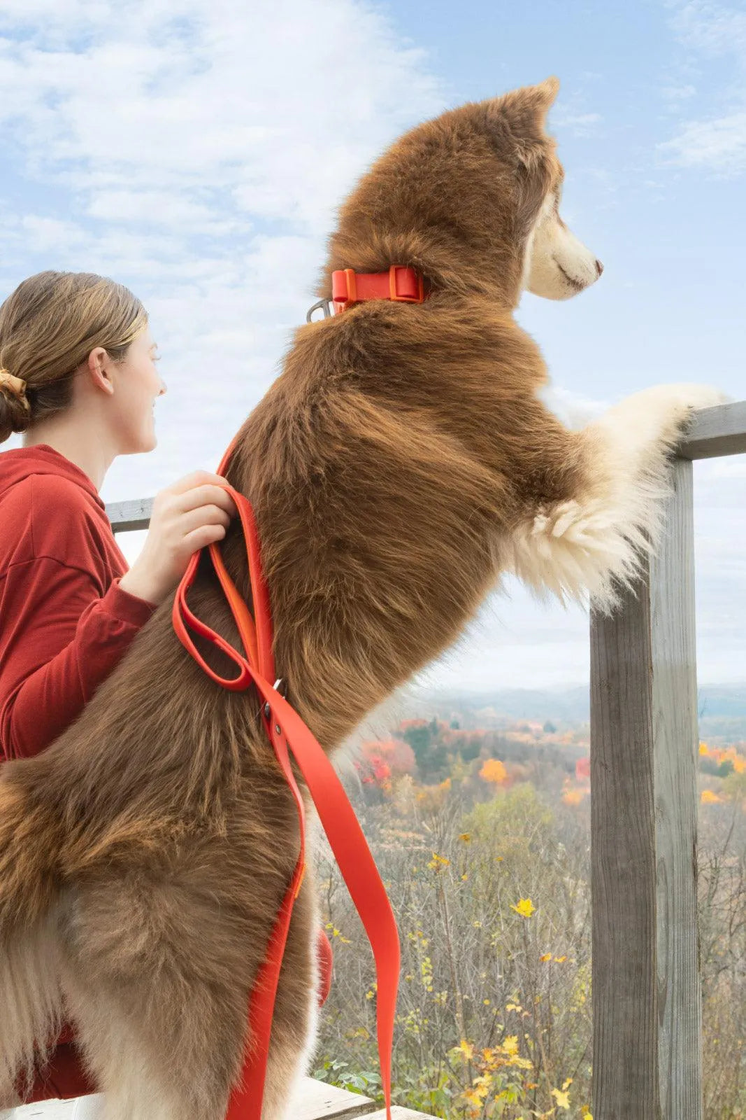 Scarlet Peaks Waterproof Leash Leash Aria the Fox