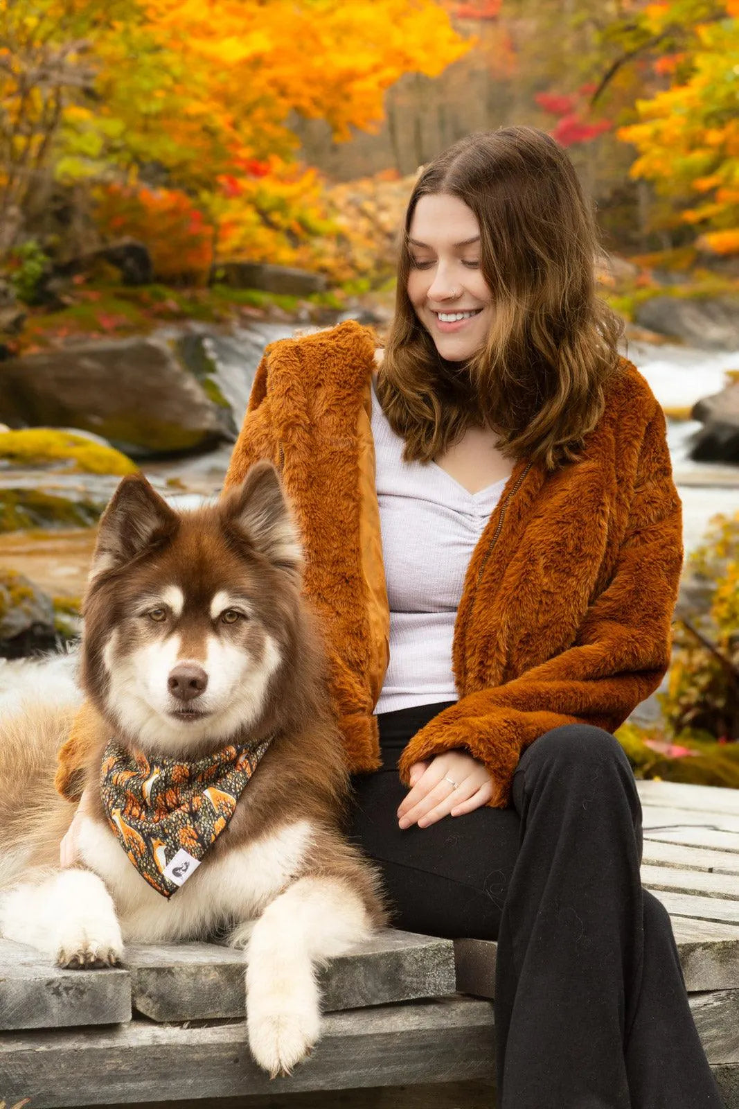 Foxes in Fall Dog Bandana bandana Aria the Fox