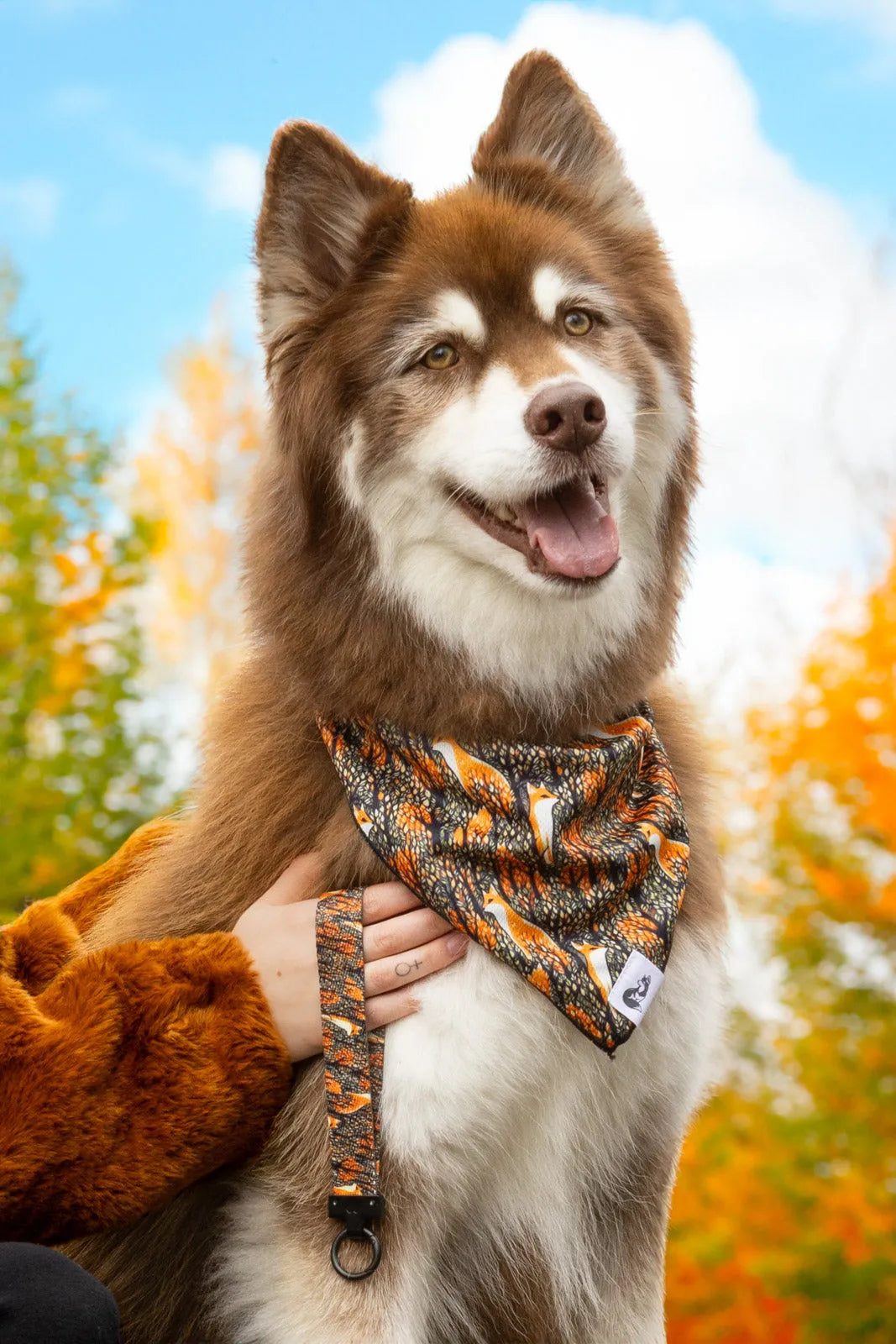 Foxes in Fall Dog Bandana & Matching Keychain bandana Aria the Fox