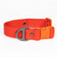 Scarlet Peaks Waterproof Dog Collar Autumn Red Flame Orange Collar Aria the Fox