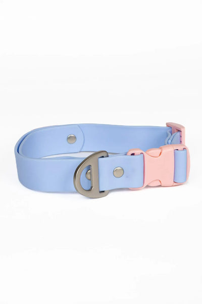 Blue Sky Orchid Waterproof Dog Collar Periwinkle Light Pink Collar Aria the Fox
