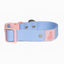 Blue Sky Orchid Waterproof Dog Collar Collar Aria the Fox