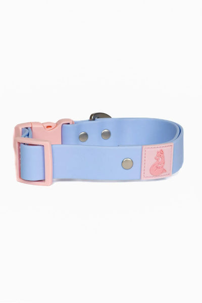 Blue Sky Orchid Waterproof Dog Collar Collar Aria the Fox