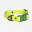 Mossy Pine Waterproof Dog Collar Chartreuse Willow Green Collar Aria the Fox