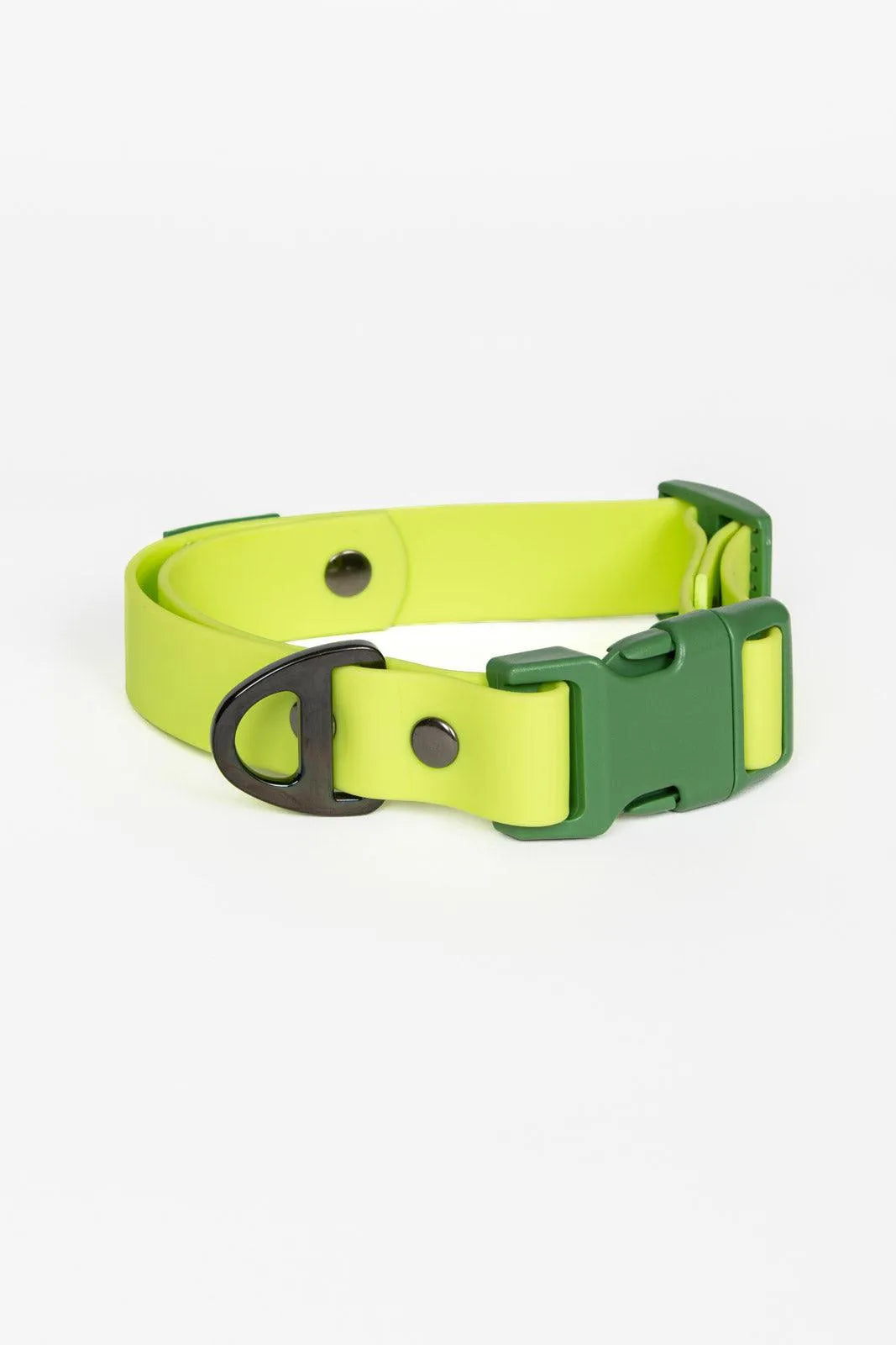 Mossy Pine Waterproof Dog Collar Chartreuse Willow Green Collar Aria the Fox
