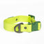 Mossy Pine Waterproof Dog Collar Chartreuse Willow Green Collar Aria the Fox