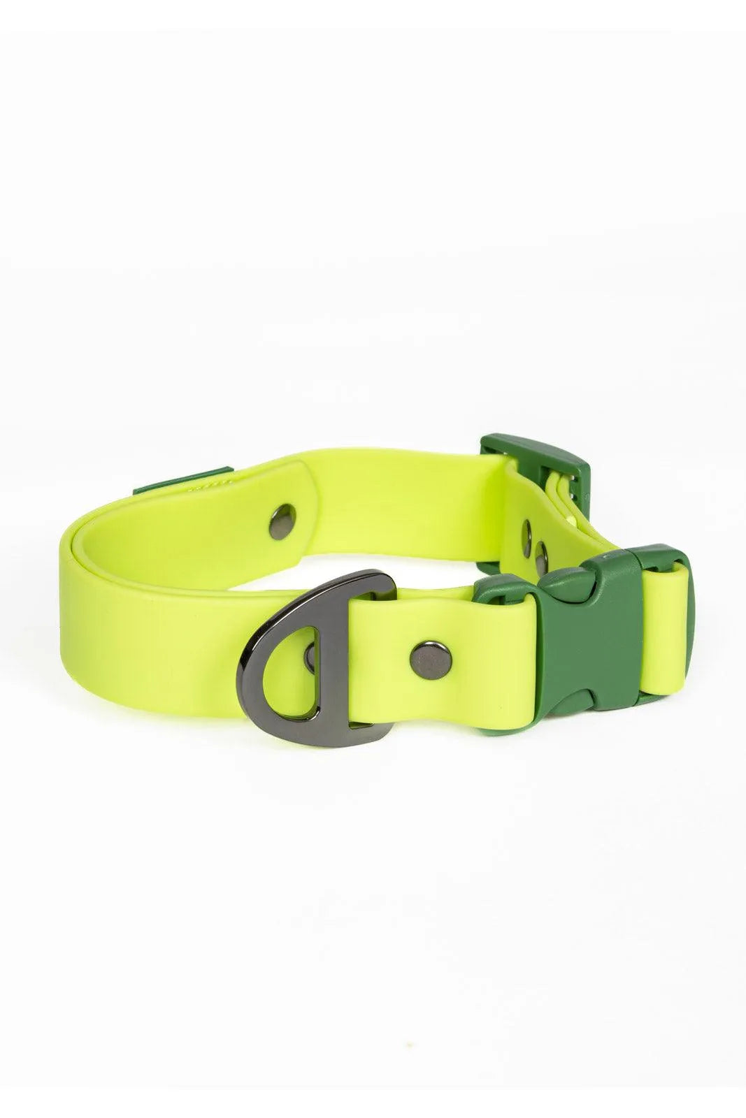 Mossy Pine Waterproof Dog Collar Chartreuse Willow Green Collar Aria the Fox