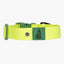Mossy Pine Waterproof Dog Collar Collar Aria the Fox