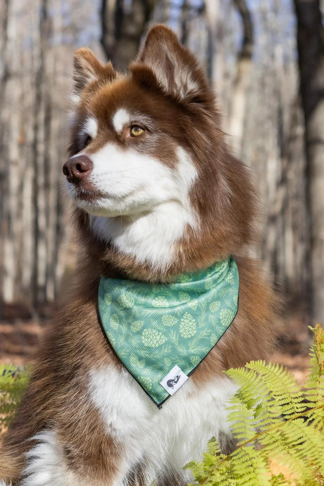 Pine Cone Pup Bandana & Matching Keychain bandana Aria the Fox