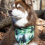 Evergreen Explorer Dog Bandana bandana Aria the Fox
