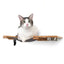 Dog Proof Cat Feeder - Wall-Mounted - Raised Cat Hammock Catastrophic Creations