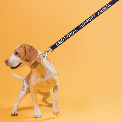 Reflective Nylon Dog Leash Dog Leashes Dogline