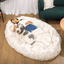 PupCloud™ Human-Size Faux Fur Memory Foam Dog Bed - White with Brown Accents Paw