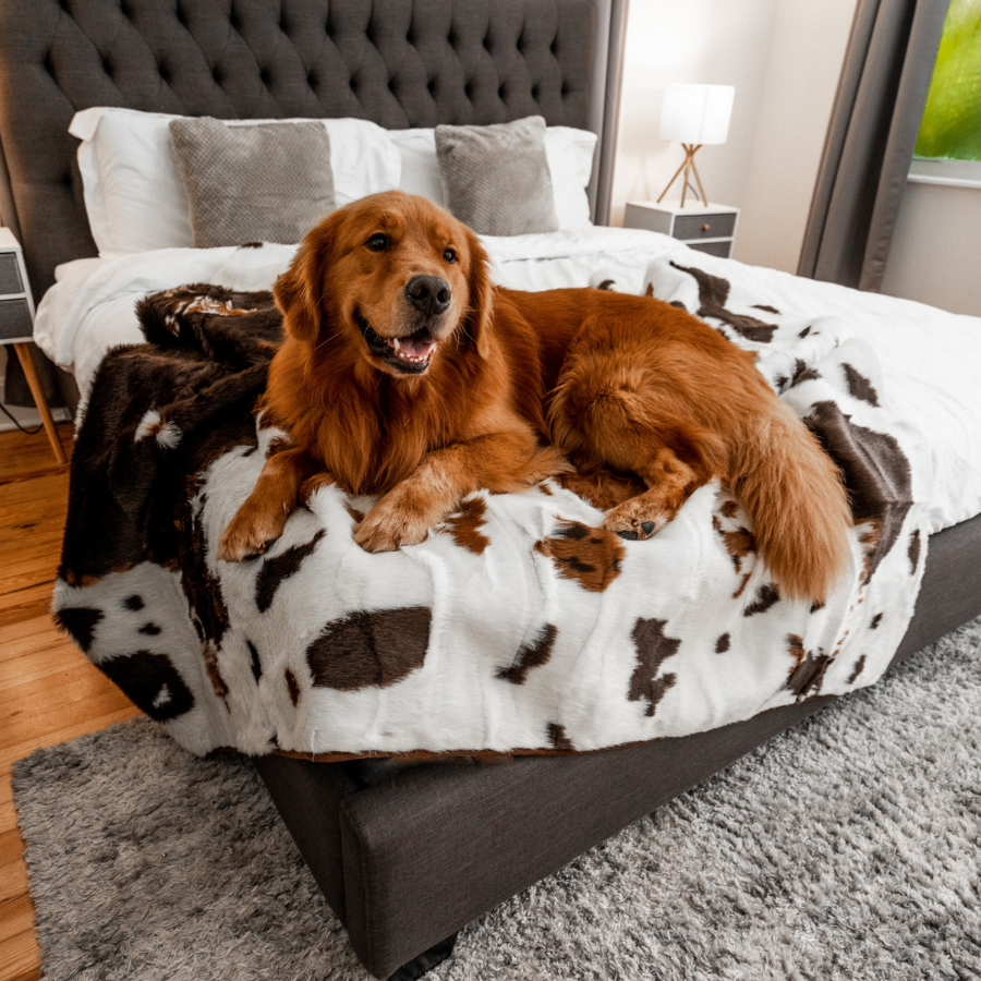 PupProtector™ Waterproof Throw Blanket - Brown Faux Cowhide Dog Blanket Paw.com