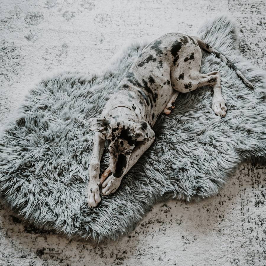 PupRug by Paw.com® Faux Fur Orthopedic Dog Bed - Curve Charcoal Grey Giant (60" L x 35" W) Dog Beds Paw