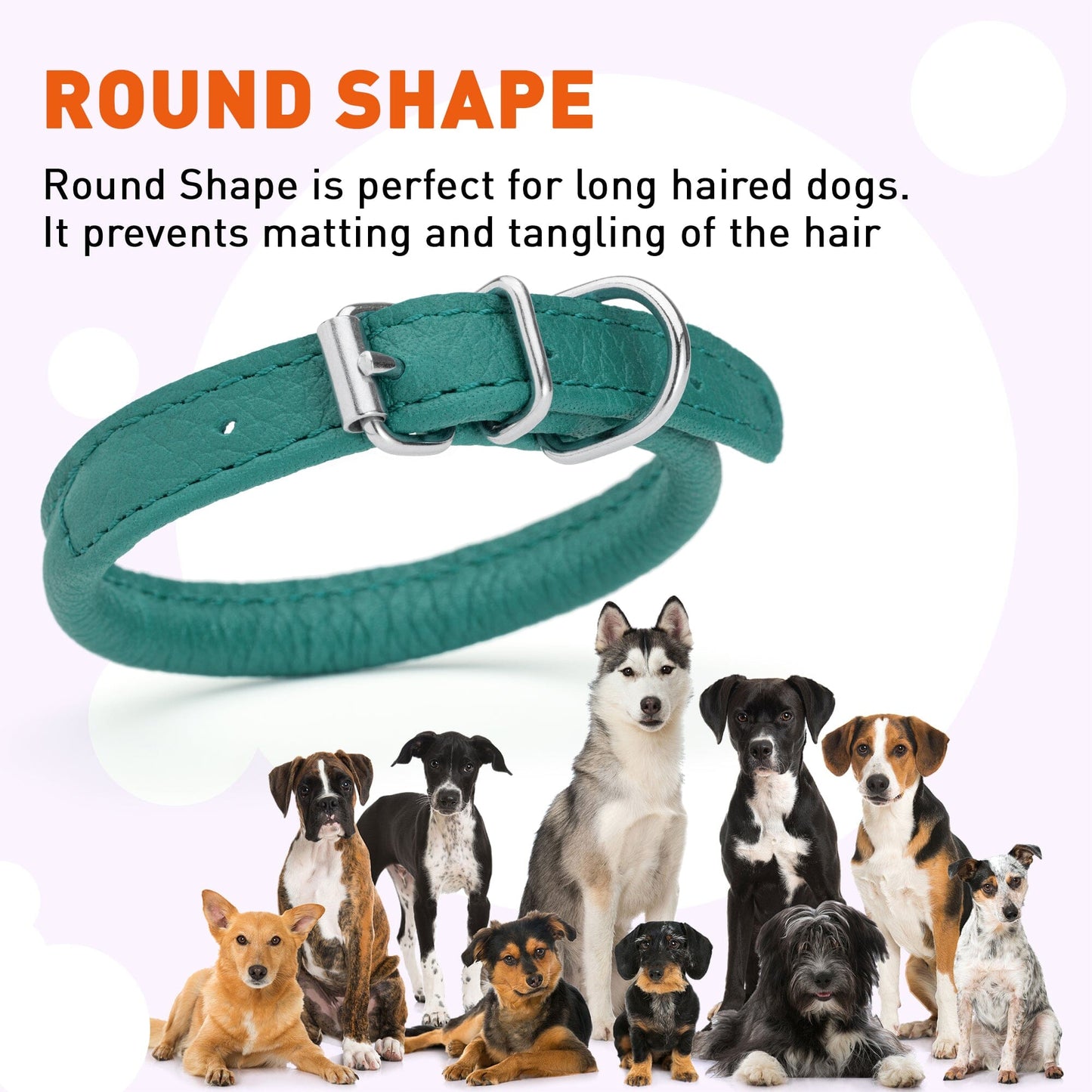 Soft Leather Round Dog Collar Dog Collars Dogline