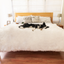 PupProtector™ Waterproof Throw Blanket - Polar White Large (80"L x 62"W) Dog Blanket Paw.com
