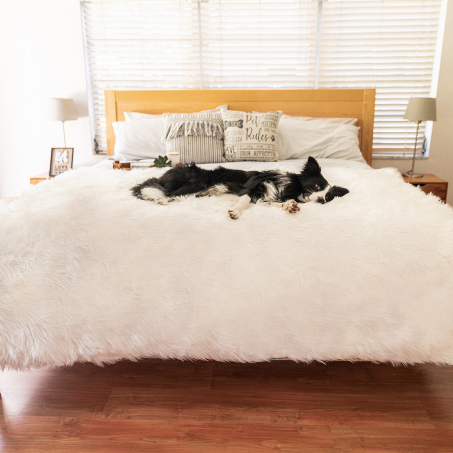 PupProtector™ Waterproof Throw Blanket - Polar White Large (80"L x 62"W) Dog Blanket Paw.com