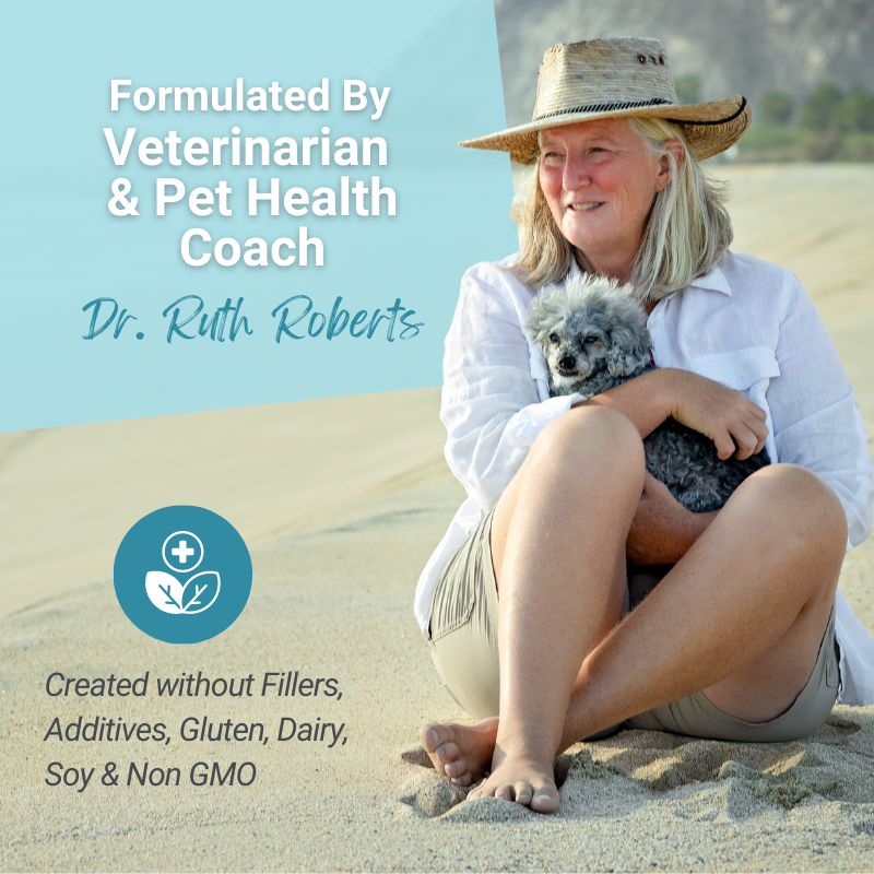 Hista Paws – with Quercetin for Dogs and Cats Vitamins & Supplements Dr. Ruth Roberts