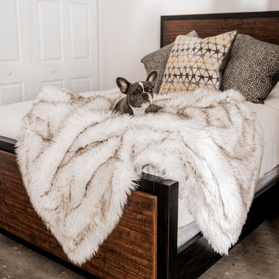 PupProtector™ Waterproof Throw Blanket - White with Brown Accents Original (60"L x 50"W) Dog Blanket Paw.com