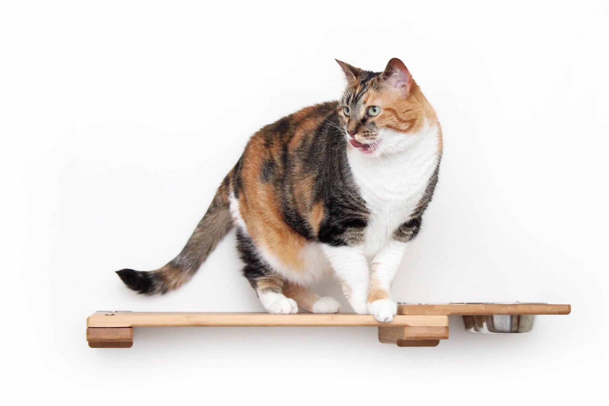 Wall Mounted Cat Feeding Shelf Cat shelves/bed Catastrophic Creations
