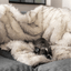 PupProtector™ Waterproof Throw Blanket - White with Brown Accents Dog Blanket Paw.com
