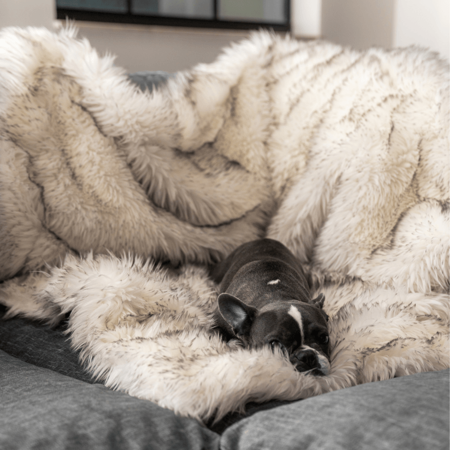 PupProtector™ Waterproof Throw Blanket - White with Brown Accents Dog Blanket Paw.com