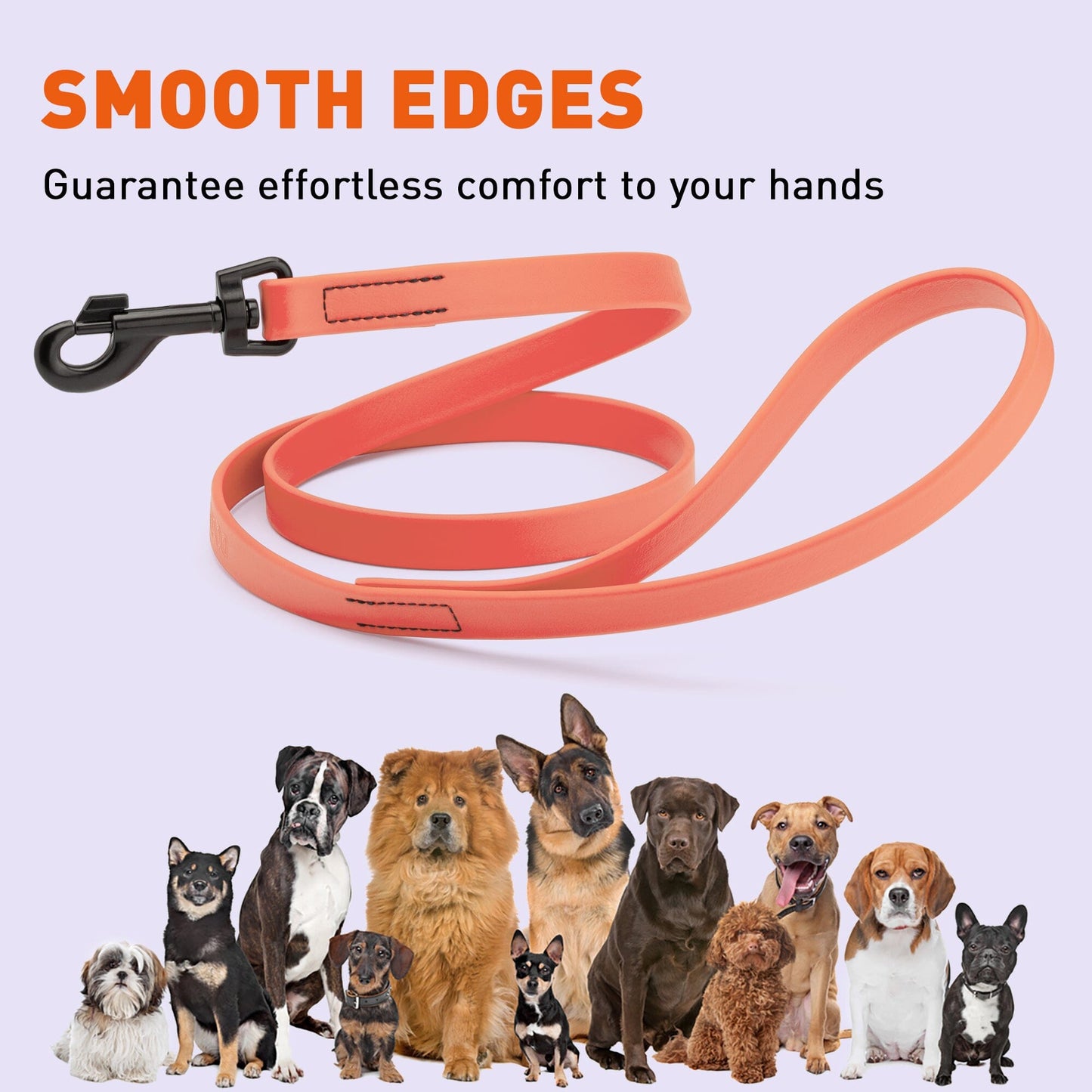 Biothane Waterproof Dog Leash, 4 ft Dog Leashes Dogline
