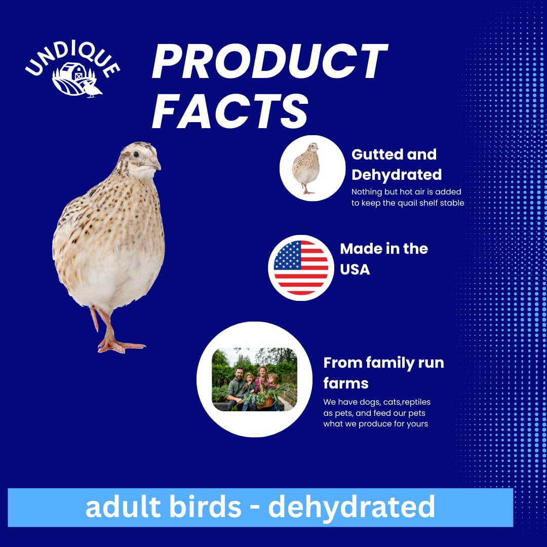 Quail Whole Pray dehydrated for Bird Dog Training or Falconry Dog Treats Quailz.com by Undique LLC