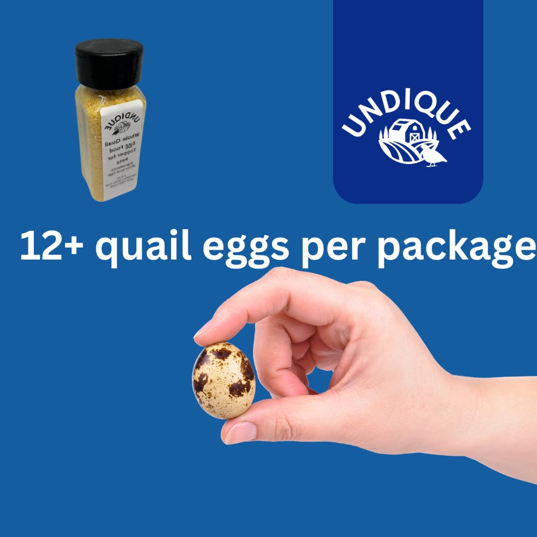 Quailicious Boost Pet Food Enhancer - Healthy Dog Food Topper with Whole Quail Eggs - Pet Health Supplements for Energy, Immune Function, Shiny Coat & Skin - Omega-3 & Omega-6 Rich Quailz.com by Undique LLC