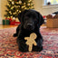 Gingerbread Man Nylon Dog Chew Toy for Aggressive Chewers | USA Made Nylon Dog Toys SodaPup/True Dogs, LLC