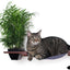 Cat Hammock Wall with Planter English Chestnut Bamboo Charcoal Gray Canvas 16" Cat Hammock Catastrophic Creations